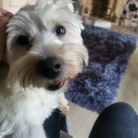 Ruby