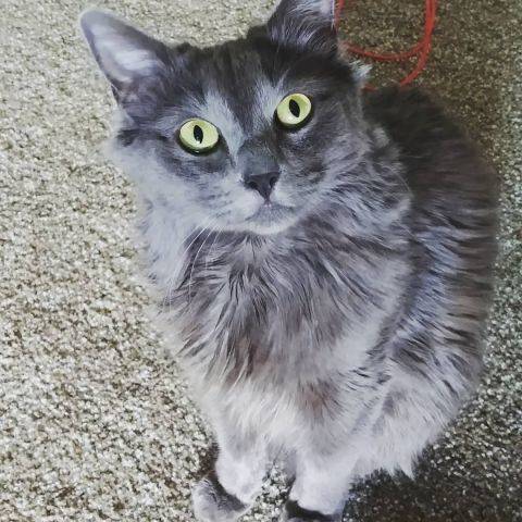 Lucy
