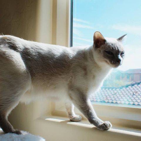 Winifred (Winnie)