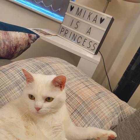 Mika