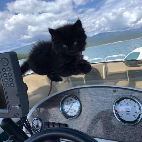 Sir Winston