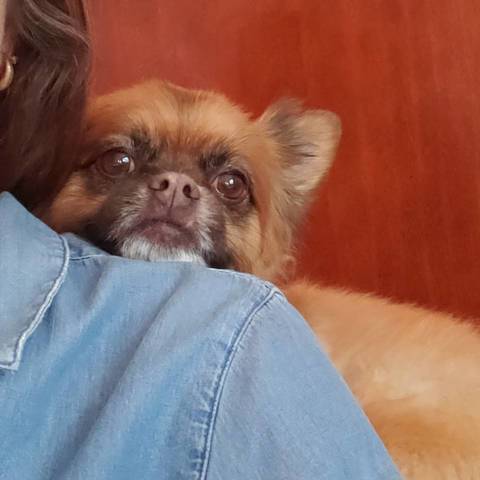 Gus