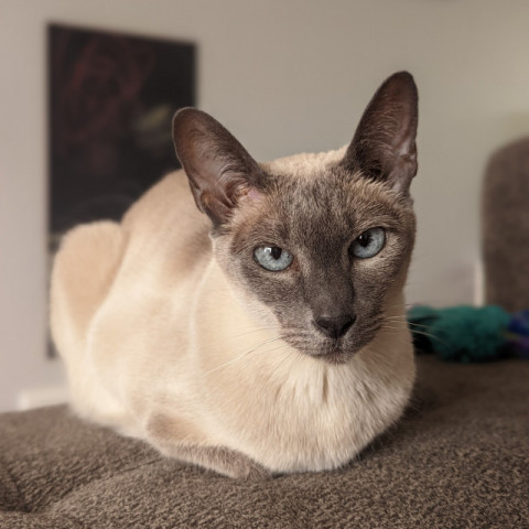 Lily