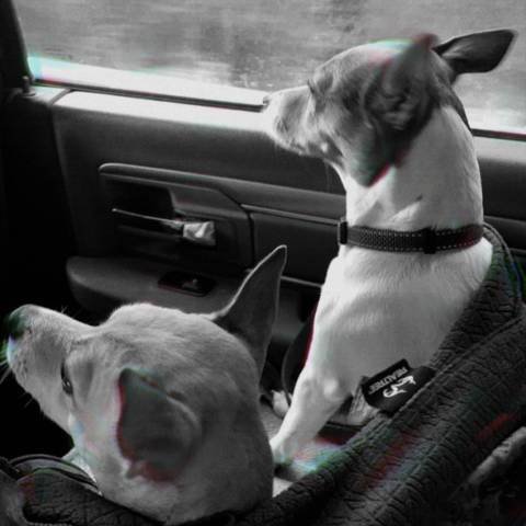 SweetPea & Snoopy