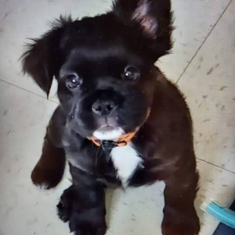 Skye
