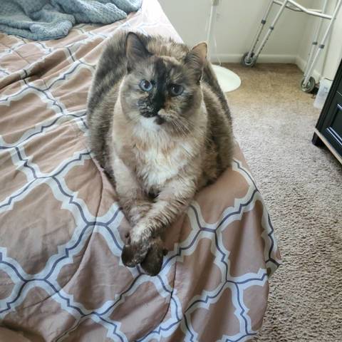 Minnie