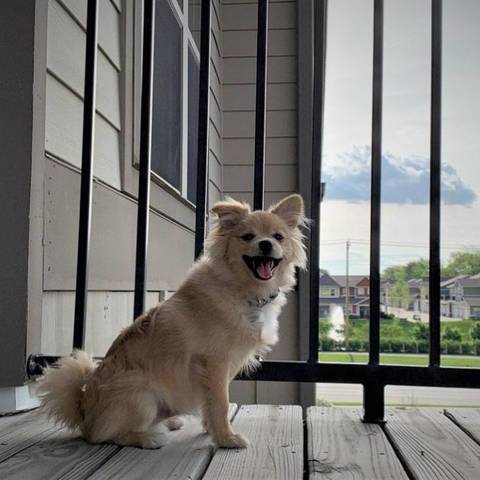 Zoey