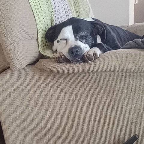 Daisy Mae