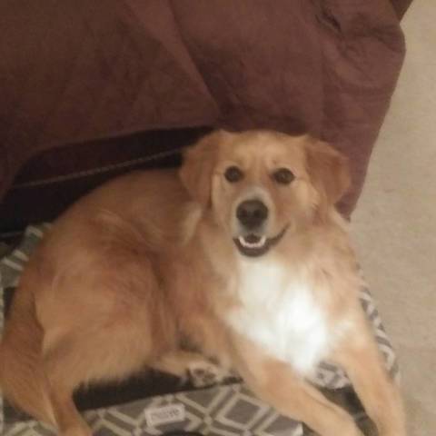 Axel
