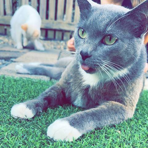 Gus