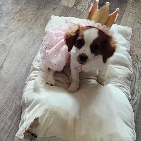 Sadie Mae