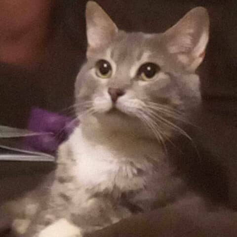 Charlie