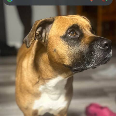 Nikita