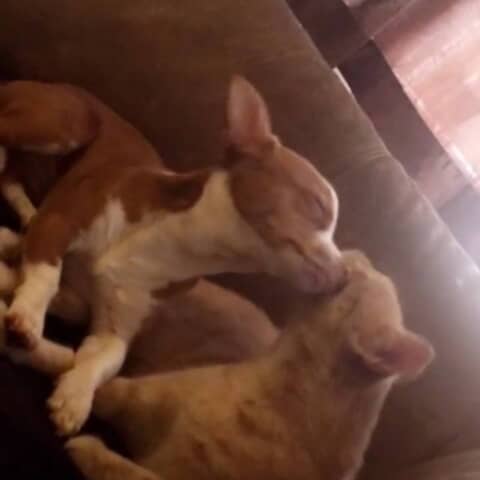 Faith and Frenchy