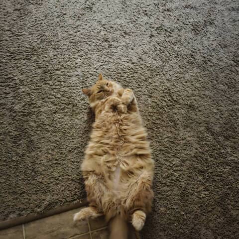 Smudge