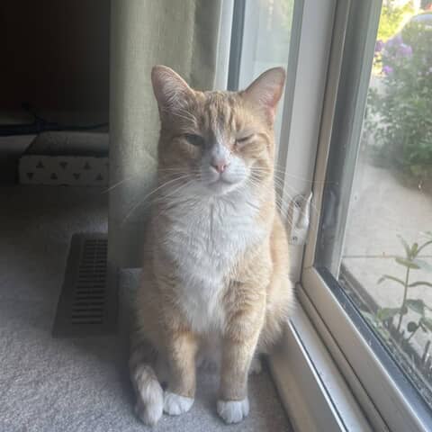 Lucy