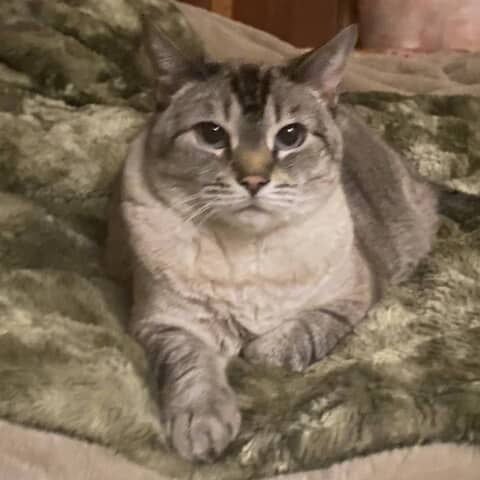 Sophie