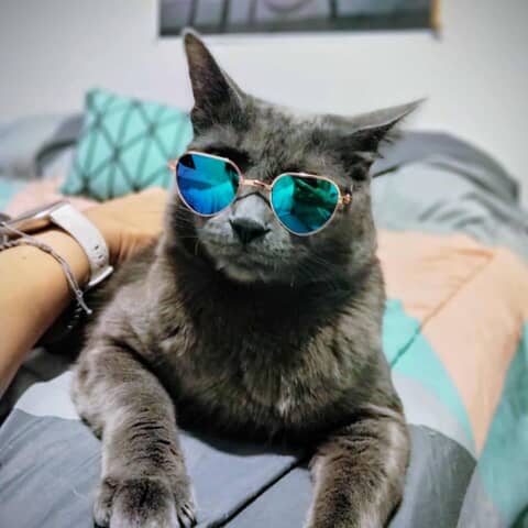 Bloo