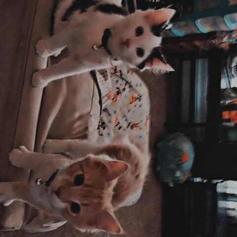 Lucifer and Grim