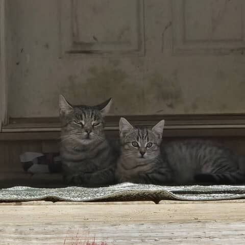 Mama & Mooch