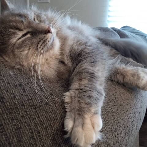 Zoey