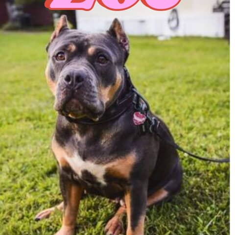 Zoe