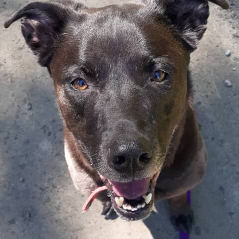 Ella