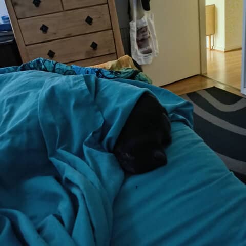 Peppa