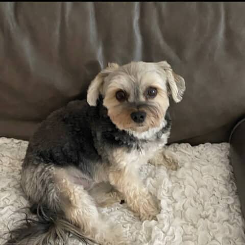 Coco