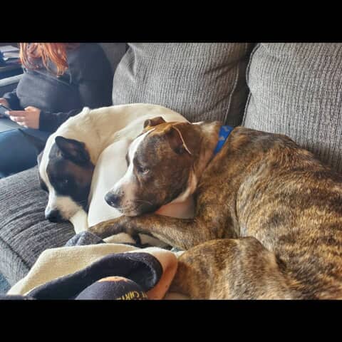 Roxy & Duke
