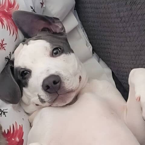 Charlie
