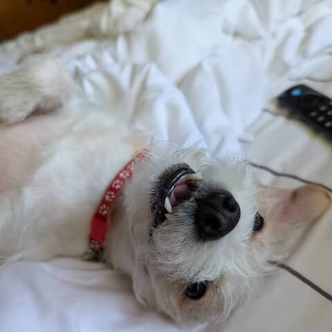 Kappy