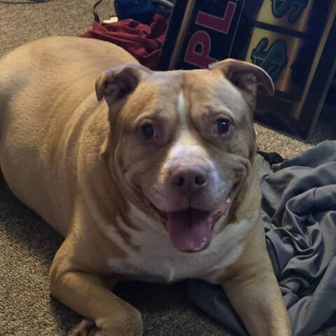 Duke