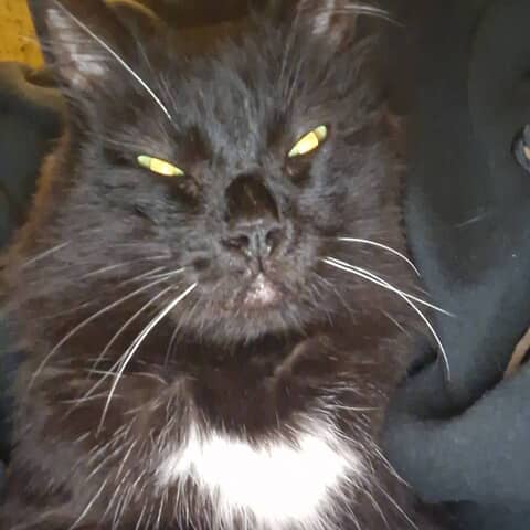 Oscar