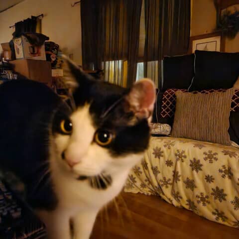 Keepher