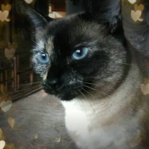MyMy