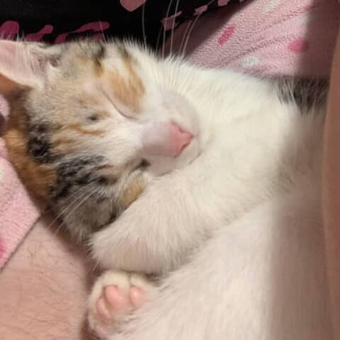 Winnifred