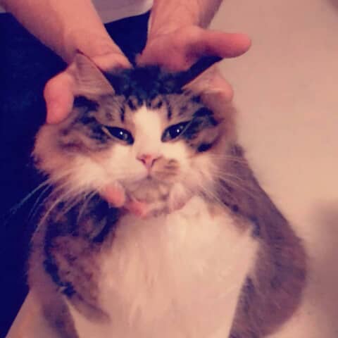 M’aiq