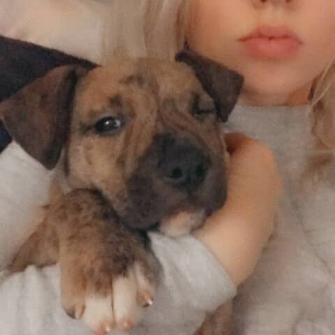 Odin