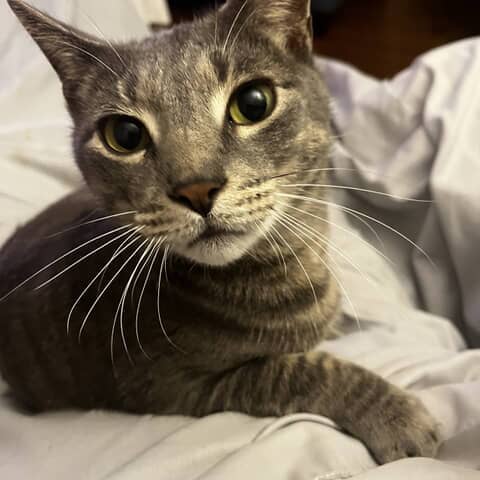Winchester