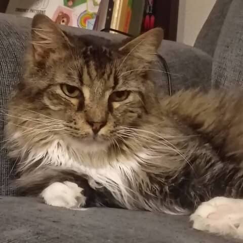 Big Boy