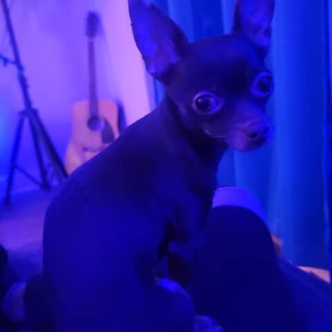 Kiki