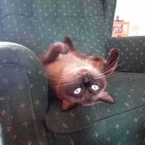 Lenny