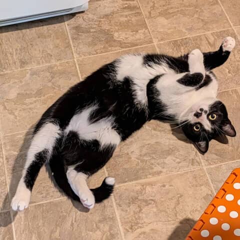 Duncan