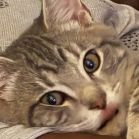 Samantha