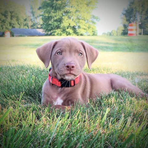 RUSTY