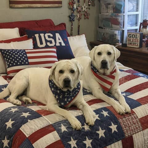 Charlie &Samson