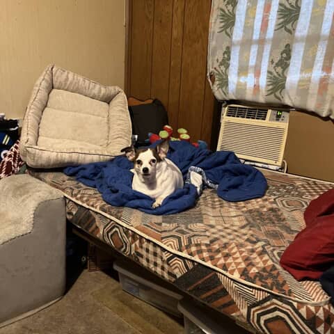 Thelma Lou