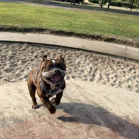 Bronx