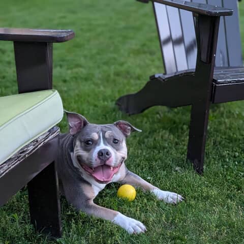 Rosie